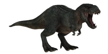 Kükreyen T-Rex beyaz arkaplana karşı dinamik bir duruşta.