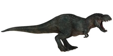 Vahşi Tyrannosaurus Rex gürlüyor..