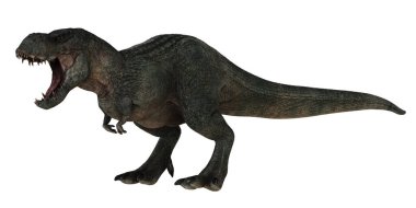 Vahşi Tyrannosaurus rex gürlüyor.