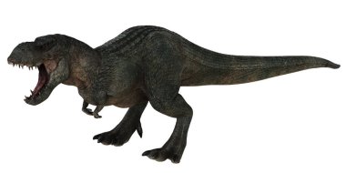 Kükreyen T-Rex dinozoru dinamik bir duruşla.