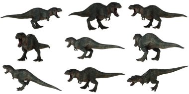 Kükreyen T-Rex dinozorları dinamik pozlarda.