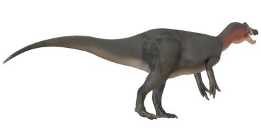 Şiddetli duruş gösteren Tyrannosaurus rex modeli