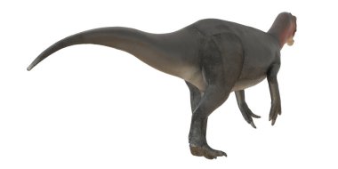 Uzun adımlı bir dinozorun gerçekçi modeli.