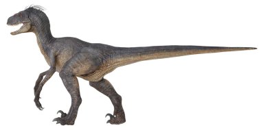 Beyaz arka planda gerçekçi dinozor modeli.