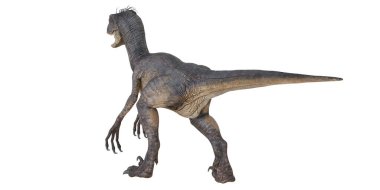 Beyaz arka planda gerçekçi dinozor modeli