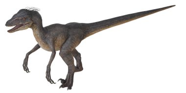 Velociraptor dinozorunun gerçekçi 3D canlandırması.