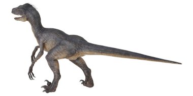 Beyaz arka planda gerçekçi dinozor modeli