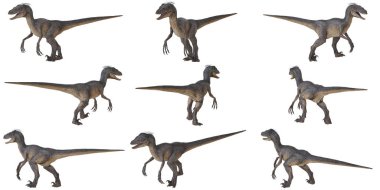 Beyaz arka planda birden fazla dinozor perspektifi