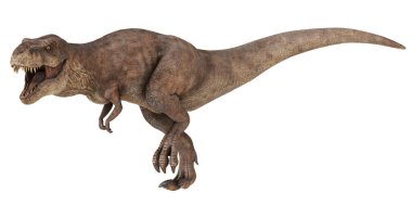 Vahşi Tyrannosaurus Rex dinamik bir duruşta.