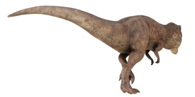 Beyaz zemin üzerinde gerçekçi tyrannosaurus dinozoru.
