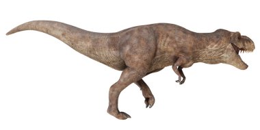 Gerçekçi Tyrannosaurus Rex dinozor çizimi.