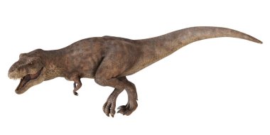 Gerçekçi Tyrannosaurus Rex çizimi
