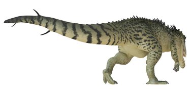 Majungasaurus dinozoru yürüyüş pozisyonunda.