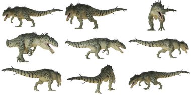 Beyaz arka planda Majungasaurus dinozor modelleri
