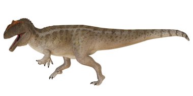 Bir Allosaurus dinozorunun gerçekçi tasviri