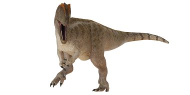 Görkemli dinozor ağzı açık kükrüyor.