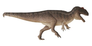 Beyaz arka planda hareketli vahşi dinozor