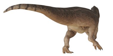 Görkemli dinozor doğal bir duruşta.