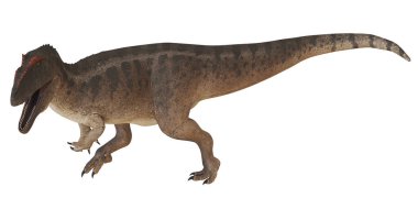 Baryonyx dinozoru dinamik bir pozisyonda