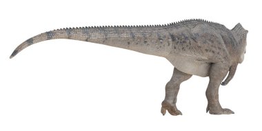Beyaz arka planda gerçekçi dinozor modeli