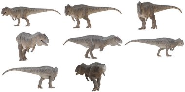 Çeşitli pozlarda gerçekçi T-Rex dinozor modelleri.