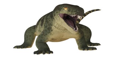 Açık ağızlı gerçekçi bir dinozor oyuncağı..