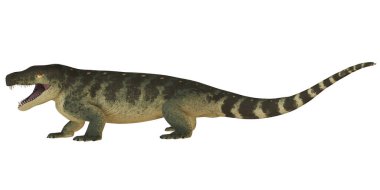 Gorgonopsid illüstrasyonu tarih öncesi yırtıcıyı gözler önüne serdi.