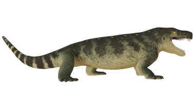 Tarih öncesi bir yırtıcının gerçekçi tasviri.