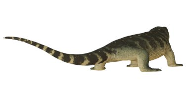 Doğal renklerde tarih öncesi sürüngen çizimi