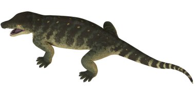 Tarih öncesi bir amfibyumun gerçekçi üç boyutlu çizimi.