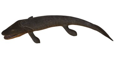 Tarih öncesi bir Dunkleosteus balığının gerçekçi tasviri