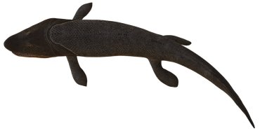 Tarih öncesi bir su canlısının 3 boyutlu tasviri.