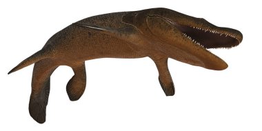 Leedsichthys 'in 3B canlandırması.