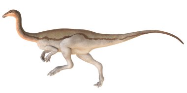 İki ayaklı dinozor türünün tasviri.