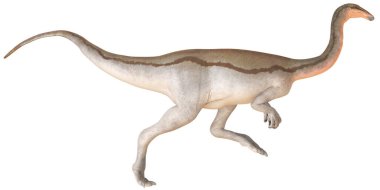 Ayrıntılı özelliklere sahip gerçekçi dinozor çizimi