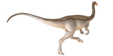 Beyaz arkaplana karşı ayrıntılı dinazor oluşturma.