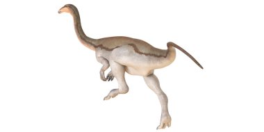 Beyaz arka planda ornithomimid bir dinozor tasviri.
