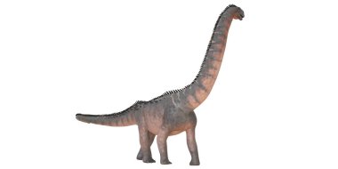 Bir Brachiosaurus dinozorunun dijital görüntülemesi