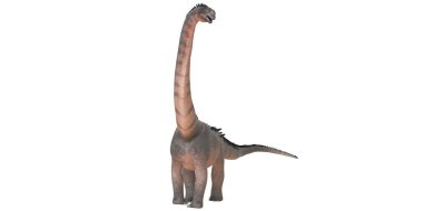 Gerçekçi brachiosaurus dinozor modeli.