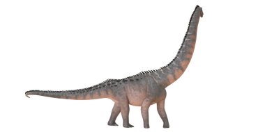 Uzun boyunlu bir dinozorun gerçekçi tasviri.