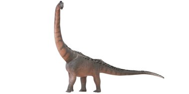Dev bir Sauropod dinozorunun gerçekçi modeli..