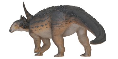 Beyaz arka planda boynuzlu bir dinozorun detaylı modeli.