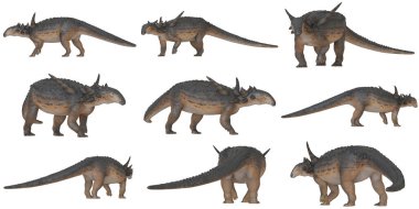 Çeşitli pozlarda gerçekçi dinozor modelleri.