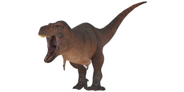 Beyaz arka planda kükreyen vahşi dinozor.