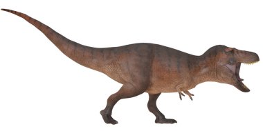 Canlı Tyrannosaurus dinozor rex modeli