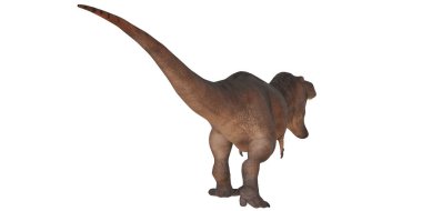 Uzun kuyruklu gerçekçi bir dinozor modeli.