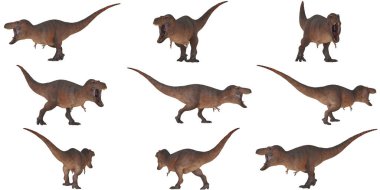 Çeşitli dinamik pozlarda Tyrannosaurus rex