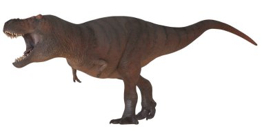 Vahşi Tyrannosaurus Rex profilinde kükreyen.