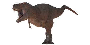 Kükreyen Tyrannosaurus Rex sert bir poz verdi.