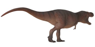 Tyrannosaurus rex profil görünümünde kükrüyor.